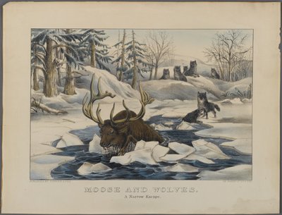 Moose and Wolves, A Narrow Escape, published by Currier & Ives, New York by American School